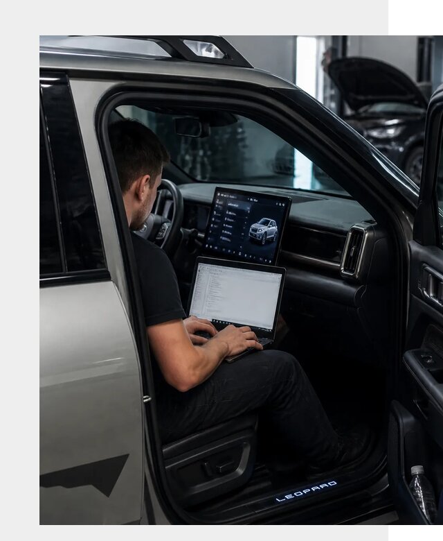 Русификация BYD Leopard 3 в Сорочинске по цене от 20553 р. | ФастМобиль-Срч